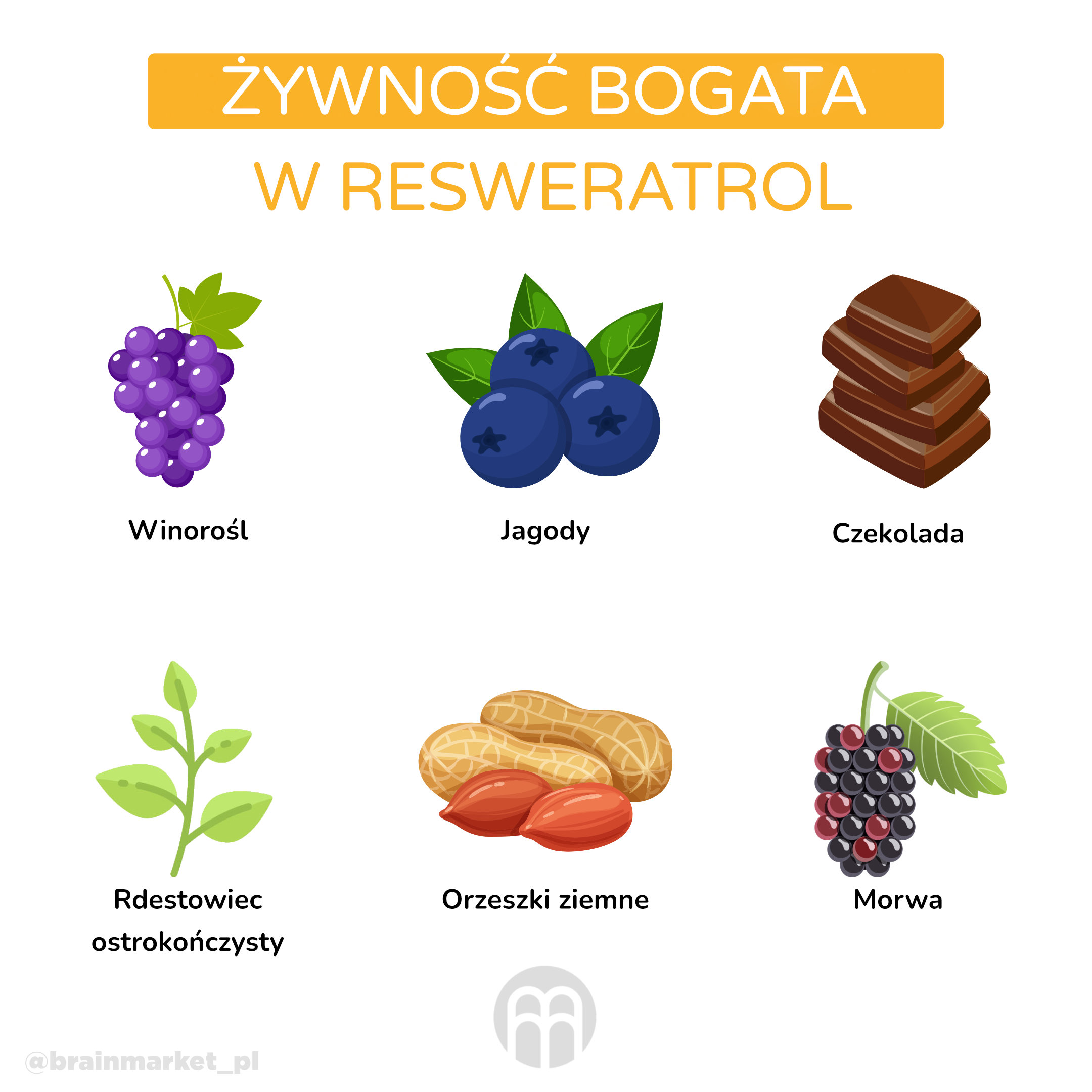 potraviny bohate na resveratrol_infografika_pl